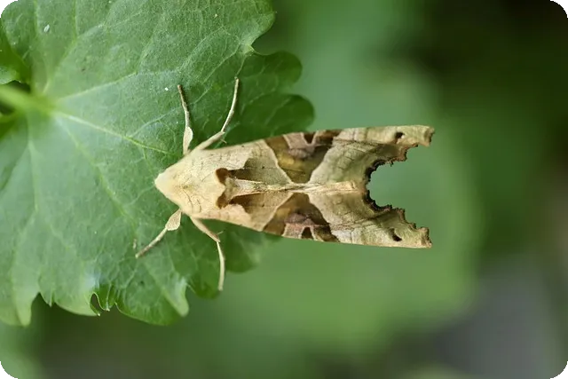 알바 월급 계산기 주휴수당 포함 정답은?