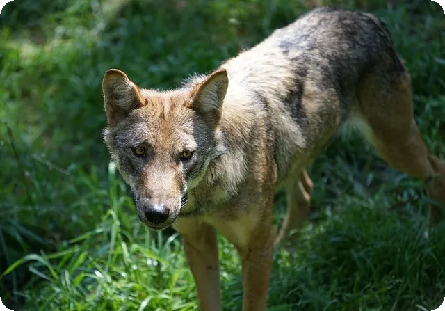 하이패스 등록 방법 쉽게 배우기