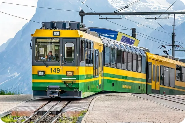 해외직구 통관조회 꿀팁과 이점은