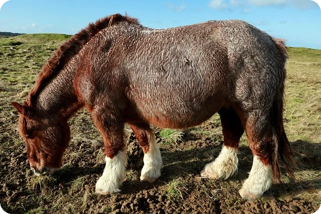 2025학년도 수능 등급컷과 해설 분석