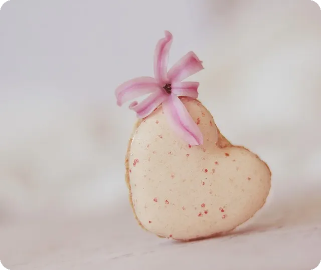 2025년 10모 등급컷과 정답 확인하기