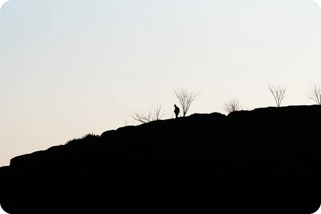 혼공에 날개를 달아줄 EBS 단추 플러스는?