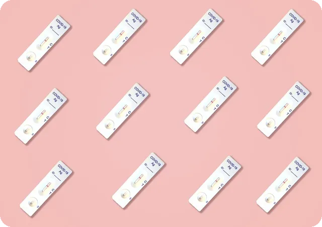 혼공에 날개를 달아줄 EBS 단추 플러스는?