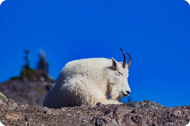 PSN 10월 무료게임 앨런웨이크 2 포함 소식