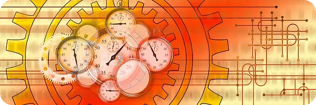 당신의 삶을 변화시킬 꿀팁 모음