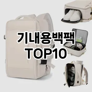 [진짜후기]기내용백팩 추천 순위  TOP10 구매가이드 2025년 11월 4주차