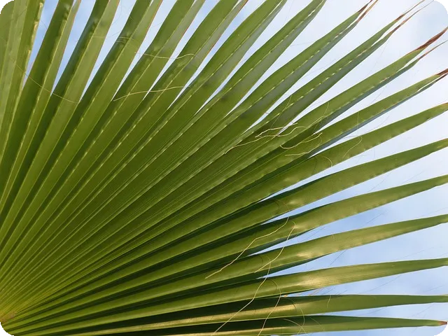 내신 등급 계산기로 성적 확인하기