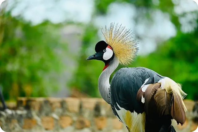 포키 무료 게임 완벽 가이드