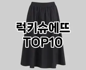 [강력추천]럭키슈에뜨 추천 순위  TOP10 구매가이드 2025년 11월 4주차