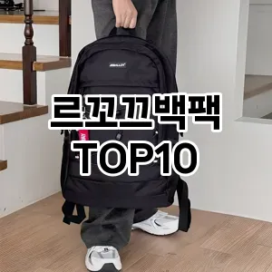 [핫템추천]르꼬끄백팩 추천 순위  TOP10 구매가이드 2025년 11월 4주차