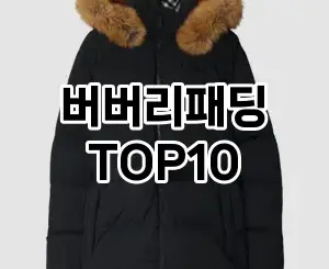 [레알핫템]버버리패딩 추천 순위  TOP10 구매가이드 2025년 11월 4주차
