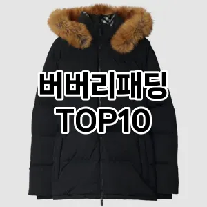 [레알핫템]버버리패딩 추천 순위  TOP10 구매가이드 2025년 11월 4주차