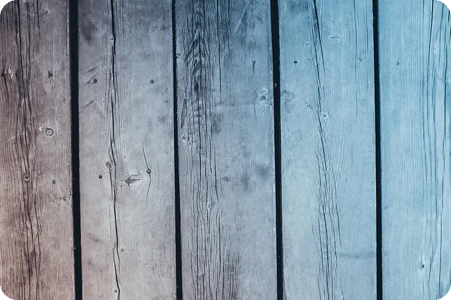 포도 혈당 반응 샤인 머스캣 캠벨 거봉 비교