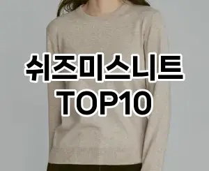 [추천리뷰]쉬즈미스니트 추천 순위  TOP10 구매가이드 2025년 11월 5주차