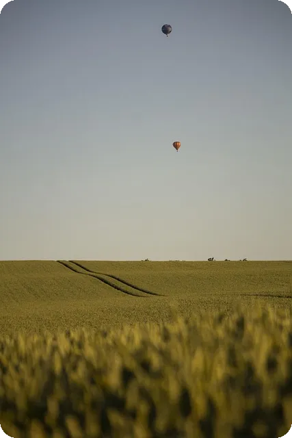 뱀부랩 3D프린터 시리얼넘버 확인법은?