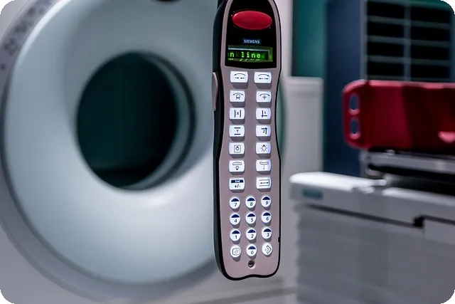 뇌염 증상과 치료법 완벽 정리