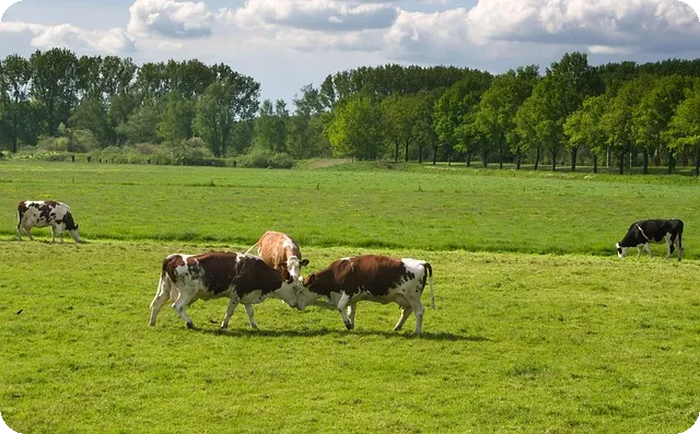 약학갤러리 한약사에 대한 논란