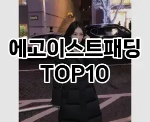 [할인제품]에고이스트패딩 추천 순위  TOP10 구매가이드 2025년 11월 5주차