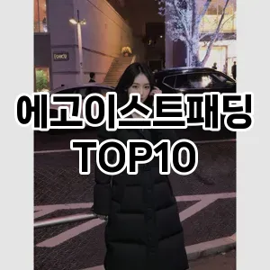 [할인제품]에고이스트패딩 추천 순위  TOP10 구매가이드 2025년 11월 5주차