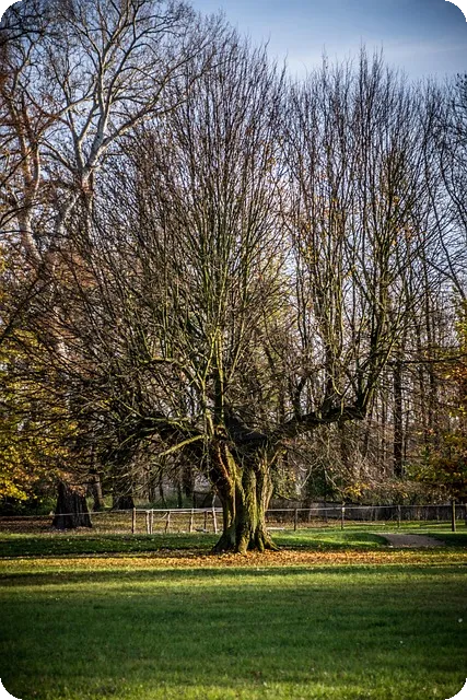 777영어학습지로 성인도 영어 마스터할 수 있을까