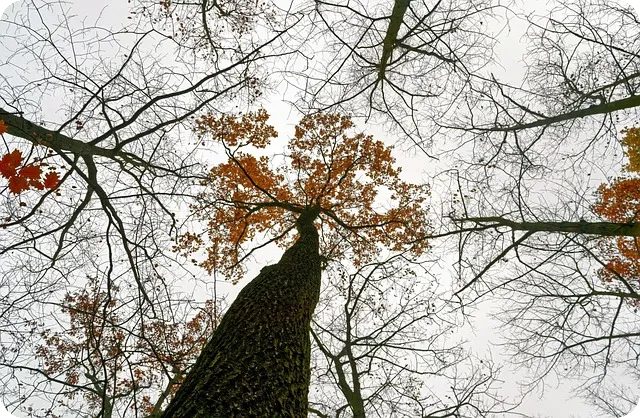 777영어학습지로 성인도 영어 마스터할 수 있을까