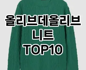 [특가제품]올리브데올리브니트 추천 순위  TOP10 구매가이드 2025년 11월 5주차