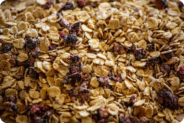 장염 환자를 위한 최고의 죽은 무엇일까