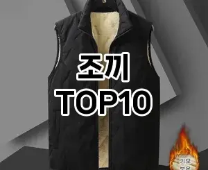 [할인추천]조끼 추천 순위  TOP10 구매가이드 2025년 11월 4주차