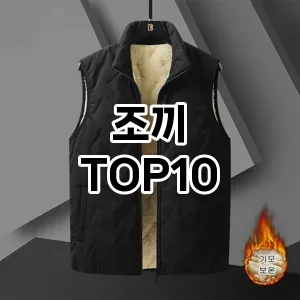 [할인추천]조끼 추천 순위  TOP10 구매가이드 2025년 11월 4주차