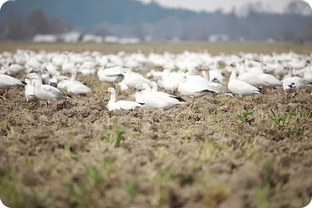 지속가능한 발전이란 무엇인가