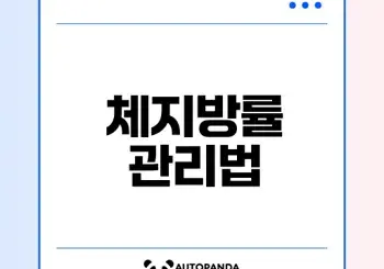 체지방률 계산기로 건강 점검하기