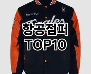 [추천특가]항공점퍼 추천 순위  TOP10 구매가이드 2025년 11월 4주차