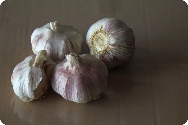 감기에 좋은 음식으로 면역력 강화할까요