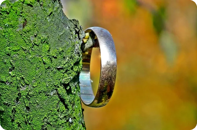 국민청원 홈페이지 활용법과 참여 가이드