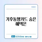 기후동행카드 신청 방법 및 따릉이 포함 여부 (환불 규정)