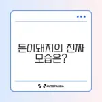 돈이돼지 후기 완벽 정리: 진짜 가치와 경험 알아보기