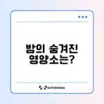 밤 성분의 비밀 알아보기: 건강한 밤을 위한 필수 가이드