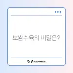 보쌈수육 완벽하게 삶는 방법 알아보기