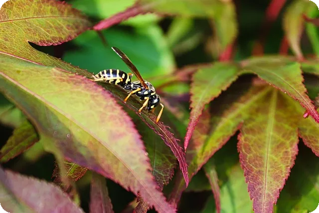 복지로 내 지원금은 어떻게 받을까