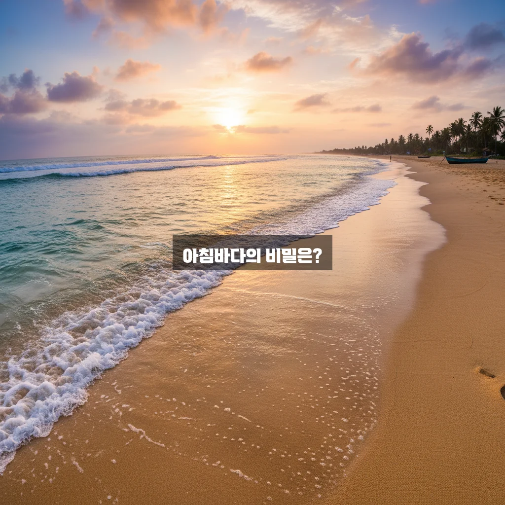 아름다운 아침바다의 매력 알아보기 관련 이미지 1