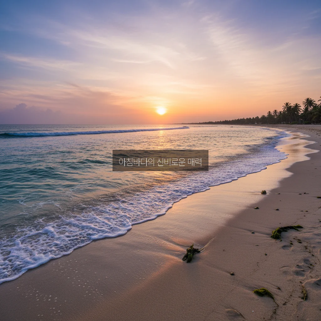 아름다운 아침바다의 매력 알아보기 관련 이미지 2