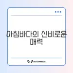 아름다운 아침바다의 매력 알아보기