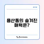 대전 용산동 매력 탐방 가이드