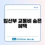 서울시 임산부 교통비 지원 신청 및 사용처 정리