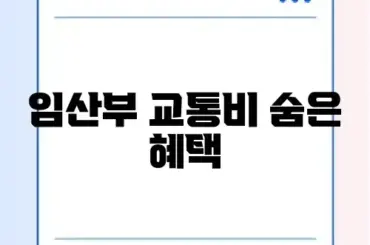 서울시 임산부 교통비 지원 신청 및 사용처 정리