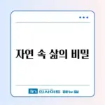 솔향기 가득한 산골 살이 완벽 가이드