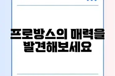 대구 프로방스를 완벽하게 즐기는 방법 알아보기