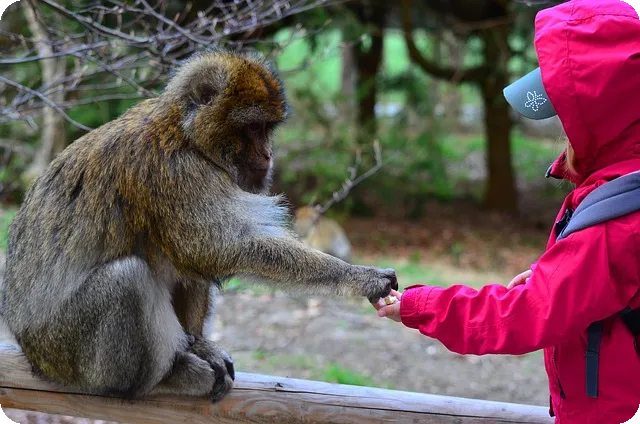 현대모비스 부품몰 활용법 완전정리