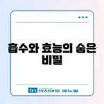 콜라겐 저분자 펩타이드 효능 및 흡수율 진실