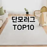[할인추천]단모러그 추천 순위  TOP10 구매가이드 2026년 1월 2주차핫딜! 좋은 후기이랍니당♬